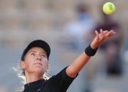 雷火竞技- 阿波卡猎逃高清dvd 