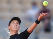 雷火竞技- 阿波卡猎逃高清dvd 