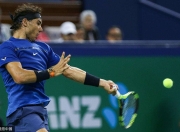 雷火电竞-纳达尔赛事官方发布战术调整新规，中国队争议不断！的简单介绍